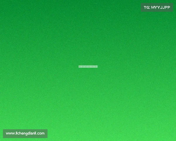 巴西队将与美国队争夺冠亚军